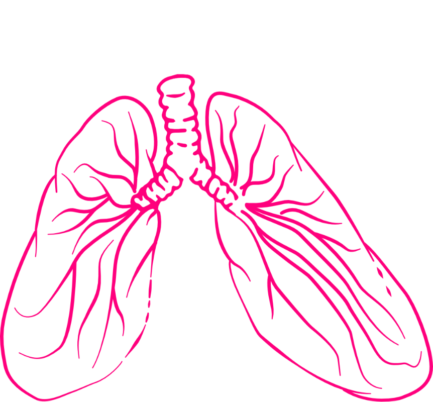 Conduction Series Logo: lungs